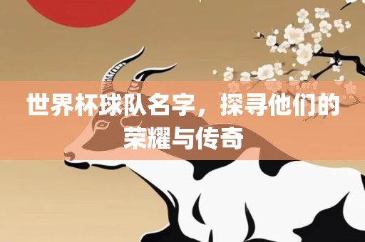世界杯球队名字，探寻他们的荣耀与传奇