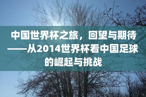 中国世界杯之旅，回望与期待——从2014世界杯看中国足球的崛起与挑战