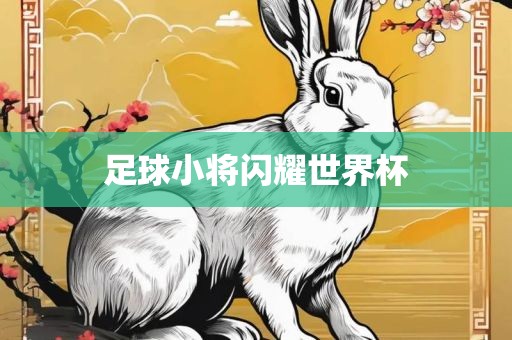 足球小将闪耀世界杯金炬实业股份有限公司