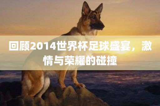 回顾2014世界杯足球盛宴，激情与荣耀的碰撞