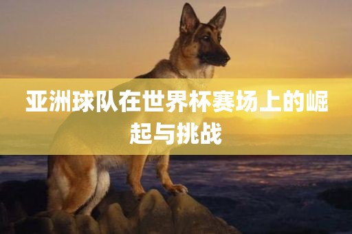 亚洲球队在世界杯赛场上的崛起与挑战