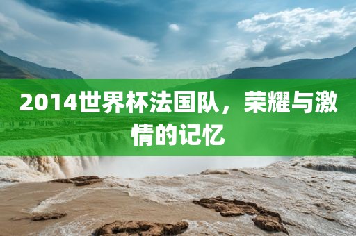 2014世界杯法国队，荣耀与激情的记忆