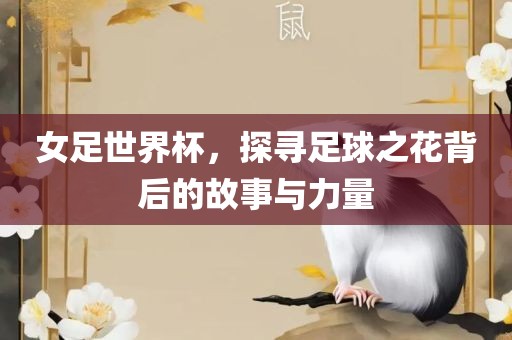 女足世界杯，探寻足球之花背后的故事与力量