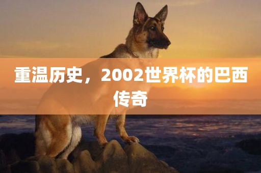 重温历史，2002世界杯的巴西传奇金炬实业股份有限公司