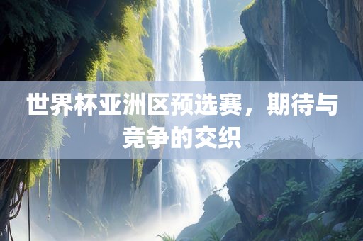 世界杯亚洲区预选赛，期待与竞争的交织