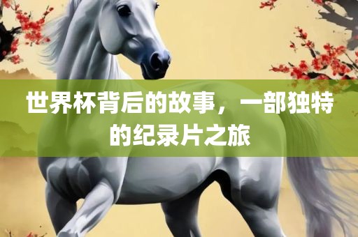 世界杯背后的故事，一部独特的纪录片之旅