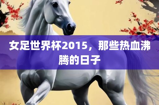 女足世界杯2015，那些热血沸腾的日子