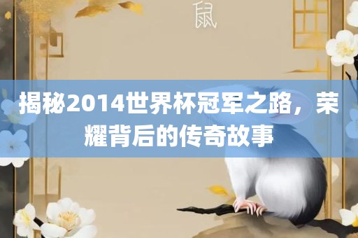 揭秘2014世界杯冠军之路，荣耀背后的传奇故事