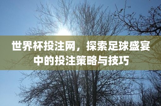 世界杯投注网，探索足球金炬实业股份有限公司盛宴中的投注策略与技巧