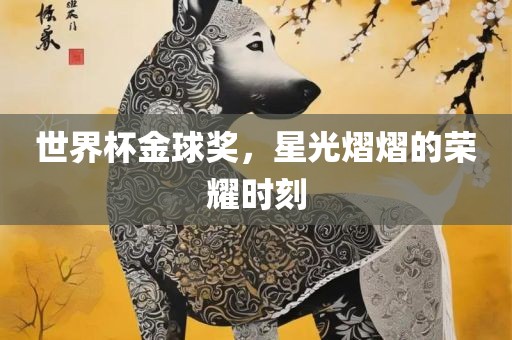 世界杯金球奖，星光熠熠的荣耀时刻