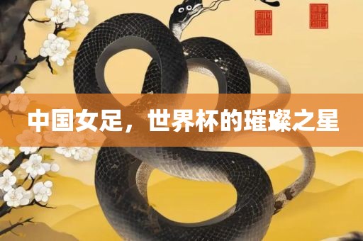 中国女足，世界杯的璀璨之星