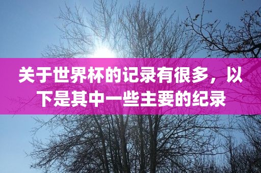 关于世界杯的记录有很多，以下是其中一些主要的纪录金炬实业股份有限公司
