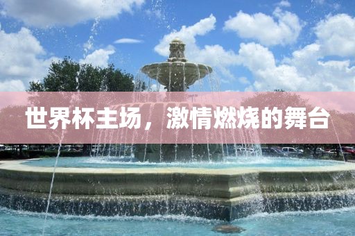 世界杯主场，激情燃烧的舞台金炬实业股份有限公司
