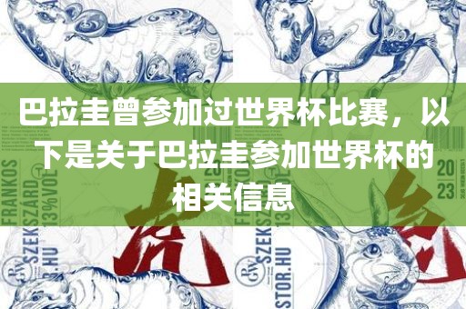 巴拉圭曾参加过世界杯比赛，以下是关于巴拉圭参加世界杯的相关信息