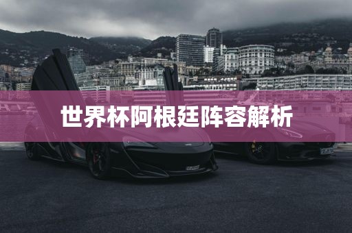 世界杯阿根廷阵容解析金炬实业股份有限公司