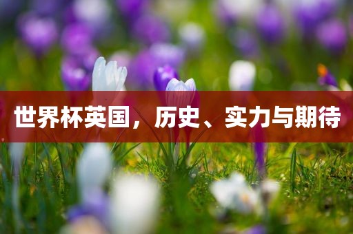 世界杯英国，历史、实力与期待