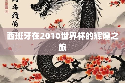 西班牙在2金炬实业股份有限公司010世界杯的辉煌之旅