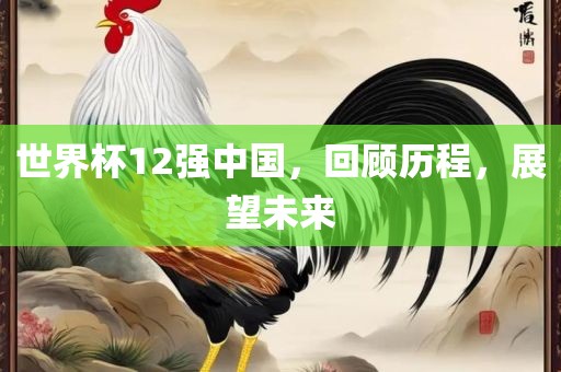 世界杯12强中国，回顾历程，金炬实业股份有限公司展望未来