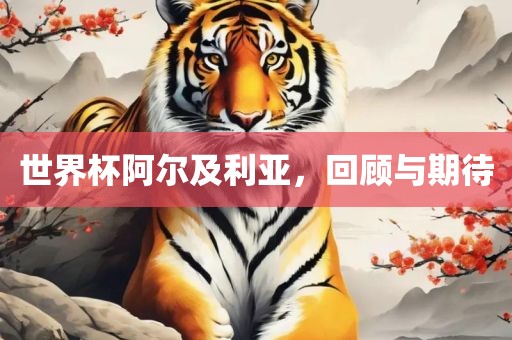 世界杯阿尔及利亚，回顾与期待金炬实业股份有限公司