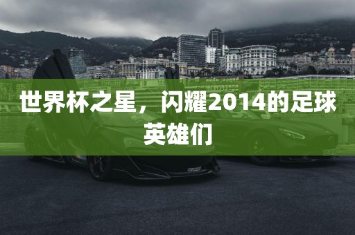世界杯之星，闪耀2014的足球英雄们