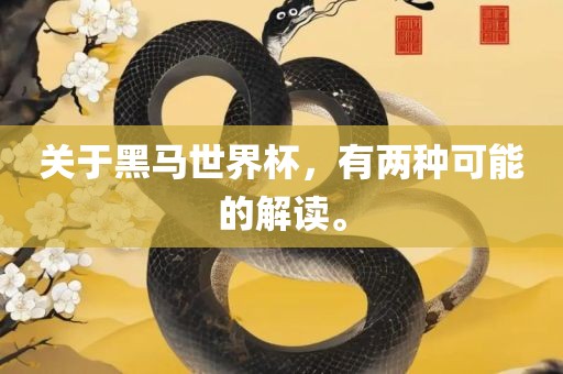 关于黑马世界杯，有两种可能的解读。金炬实业股份有限公司