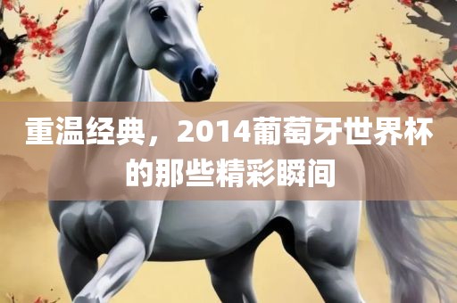 重温经典，2014葡萄牙世界杯的那些精彩瞬间