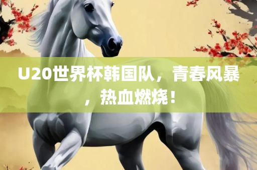 U20世界杯韩国队，青春风金炬实业股份有限公司暴，热血燃烧！