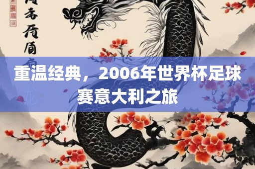 重温经典，2006年世界杯足球赛意大利之旅