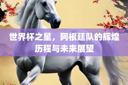 世界杯之星，阿根廷队的辉煌历程与未来展望