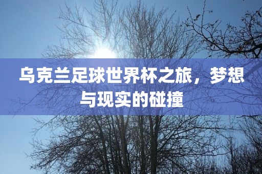 乌克兰足球世界杯之旅，梦想与现实的碰撞金炬实业股份有限公司
