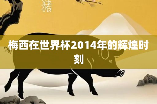 梅西在世界杯2014年的辉煌时刻