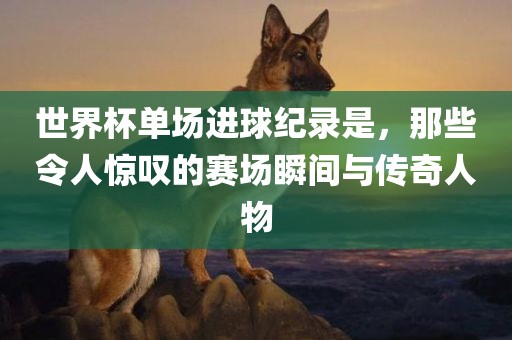 世界杯单场进球纪录是，那些令人惊叹的赛场瞬间与传奇人物金炬实业股份有限公司