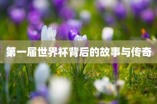 第一届金炬实业股份有限公司世界杯背后的故事与传奇