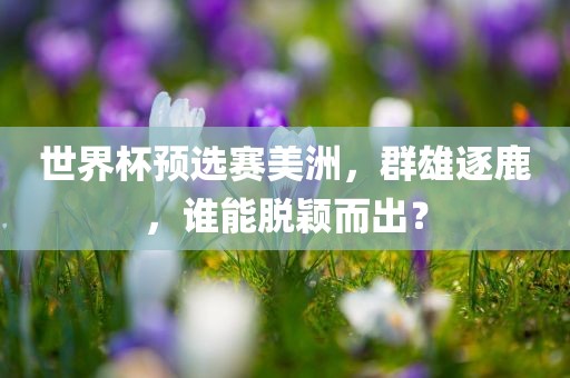 世界杯预选赛美洲，群雄逐鹿，谁能脱颖而出？