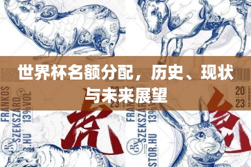 世界杯名额分配，历史、现状与未来展望