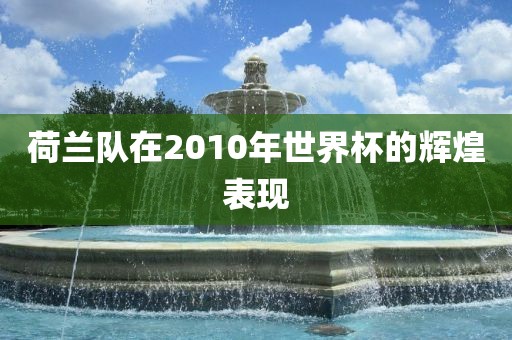 荷兰队在2010年世界杯的辉煌表现金炬实业股份有限公司