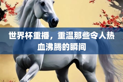 世界杯重播，重温那些令人热血沸腾的瞬间金炬实业股份有限公司