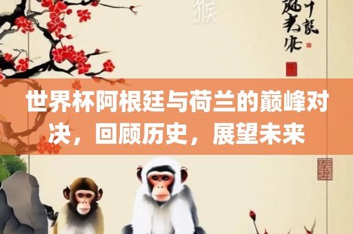 世界杯阿根廷与荷兰的巅峰对决，回顾历史，展望未来