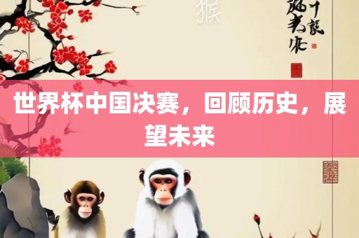 世界杯中国决赛，回顾历史，展望未来