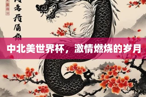中北美世界杯，激情燃烧的岁月