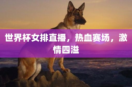 世界杯女排直播，热血赛场，激情四溢