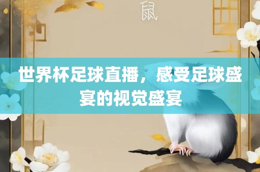 世界杯足球直播，感受足球盛宴的视觉盛宴