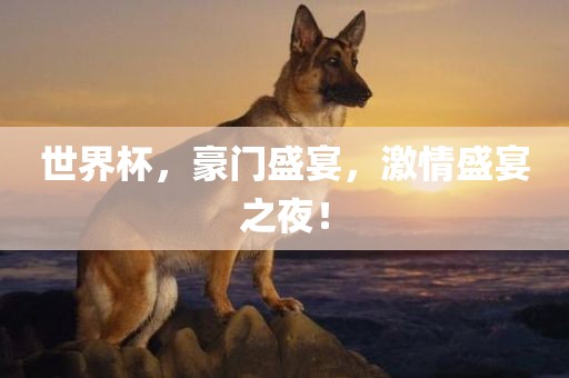 世界杯，豪门盛宴，激情盛宴之夜！金炬实业股份有限公司