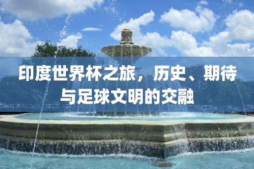 印度世界杯之旅，历史、期待与足球文明的交融金炬实业股份有限公司