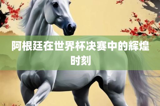 阿根廷在世界杯决赛中的辉煌时刻