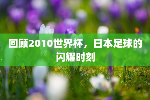 金炬实业股份有限公司回顾2010世界杯，日本足球的闪耀时刻
