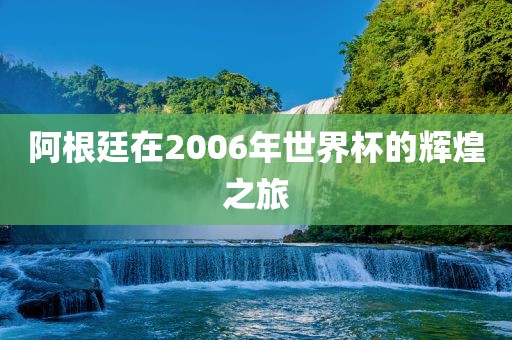 阿根廷在2006年世界杯的辉煌之旅