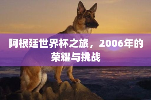 阿根廷世界杯之旅，2006年的荣耀与挑战