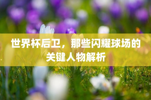 世界杯后卫，那些闪耀球场的关键人物解析金炬实业股份有限公司