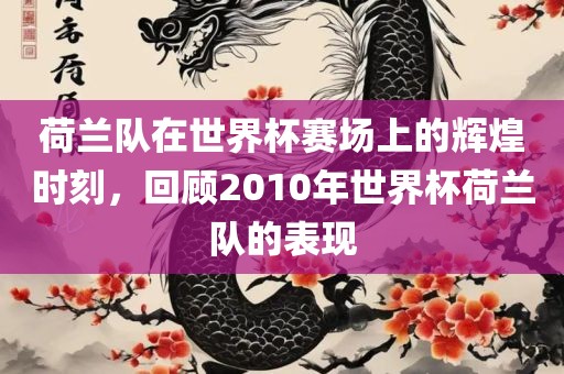 荷兰队在世界杯赛场上的辉煌时刻，回顾2010年世界杯荷兰队的表现金炬实业股份有限公司